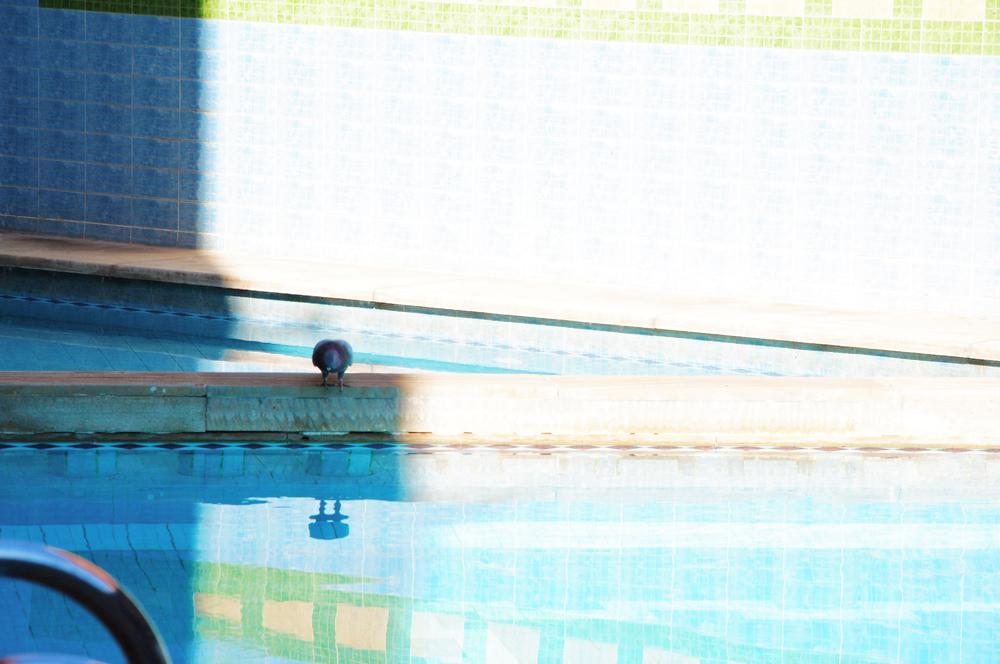 Hotel Residence Amalou Marrakesh Exterior photo